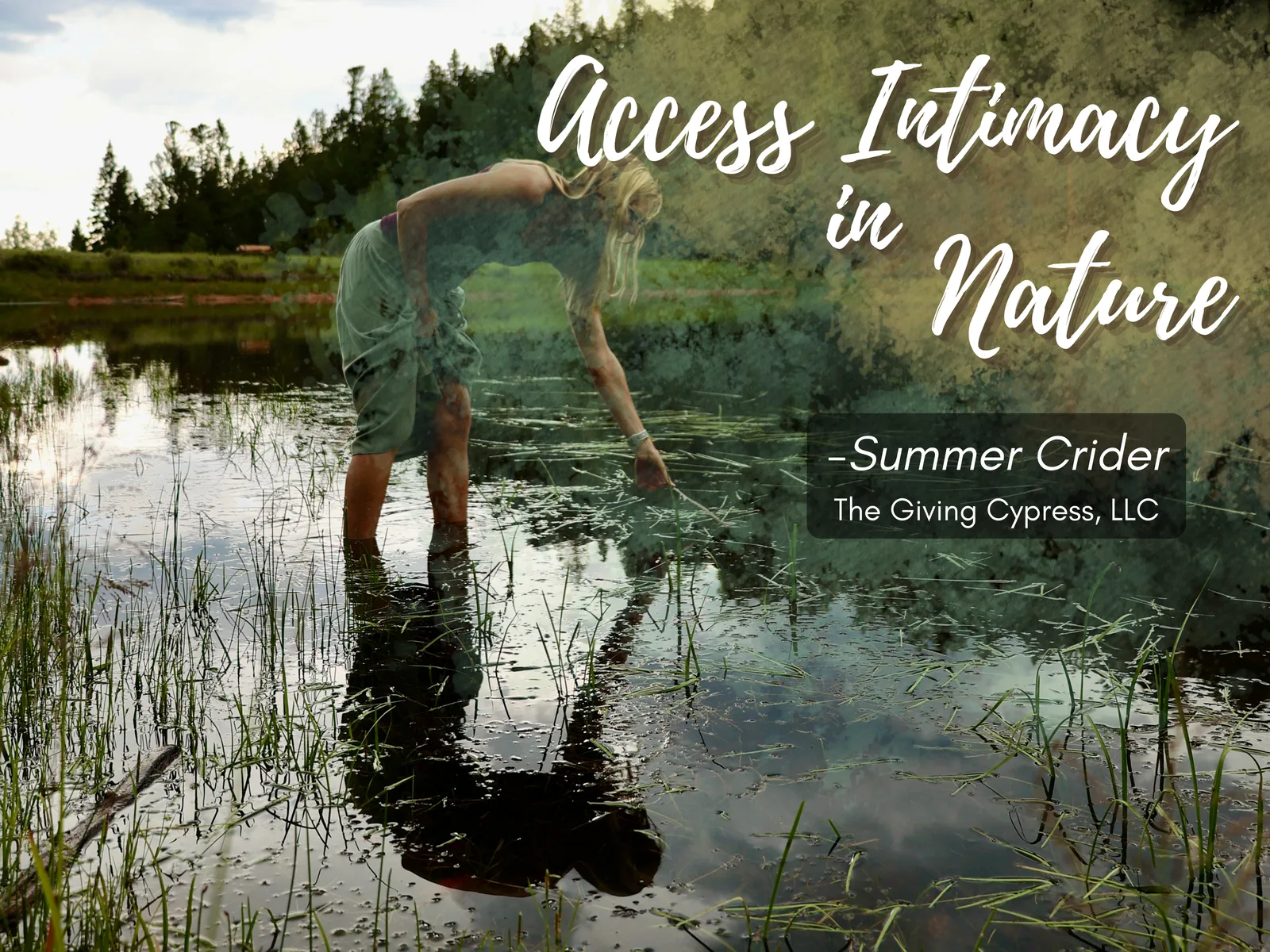 A woman wades in a pond, reaching into the water. Text: “Access Intimacy in Nature – Summer Crider, The Giving Cypress, LLC”