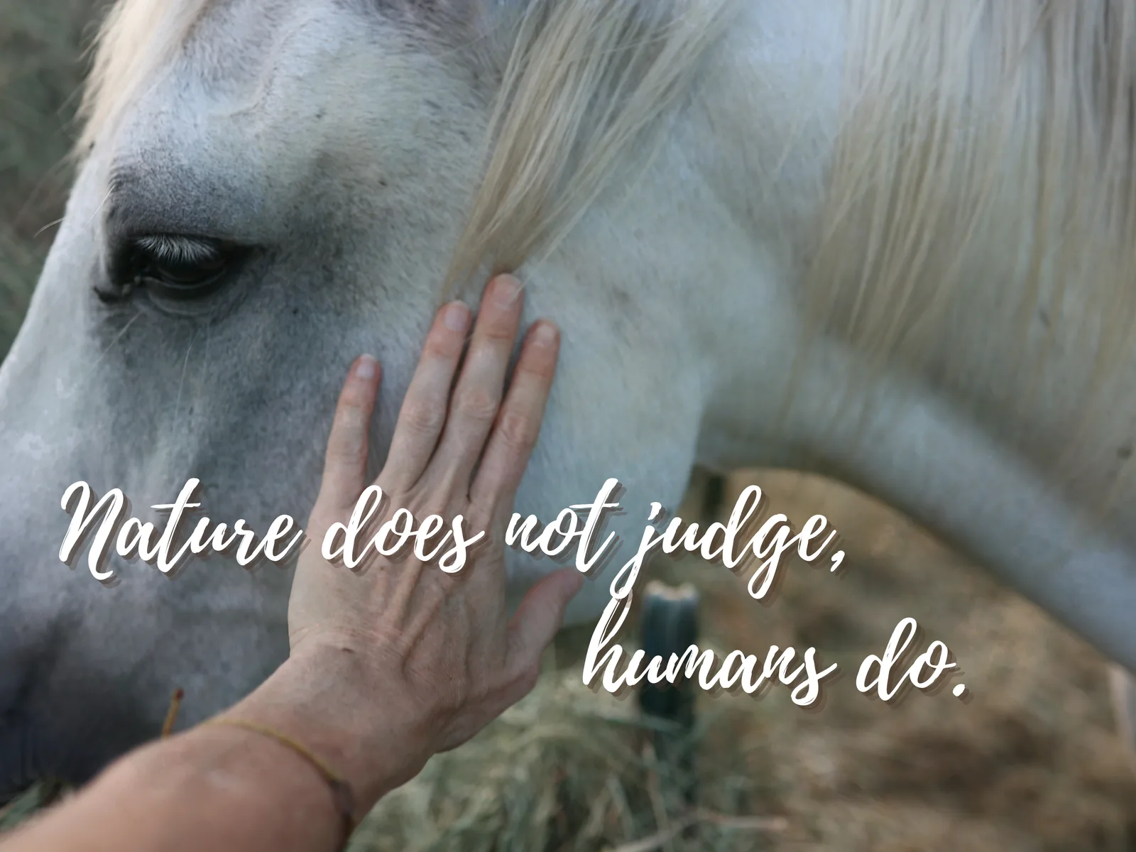A hand rests on a white horse’s face. Text: “Nature does not judge, humans do.”