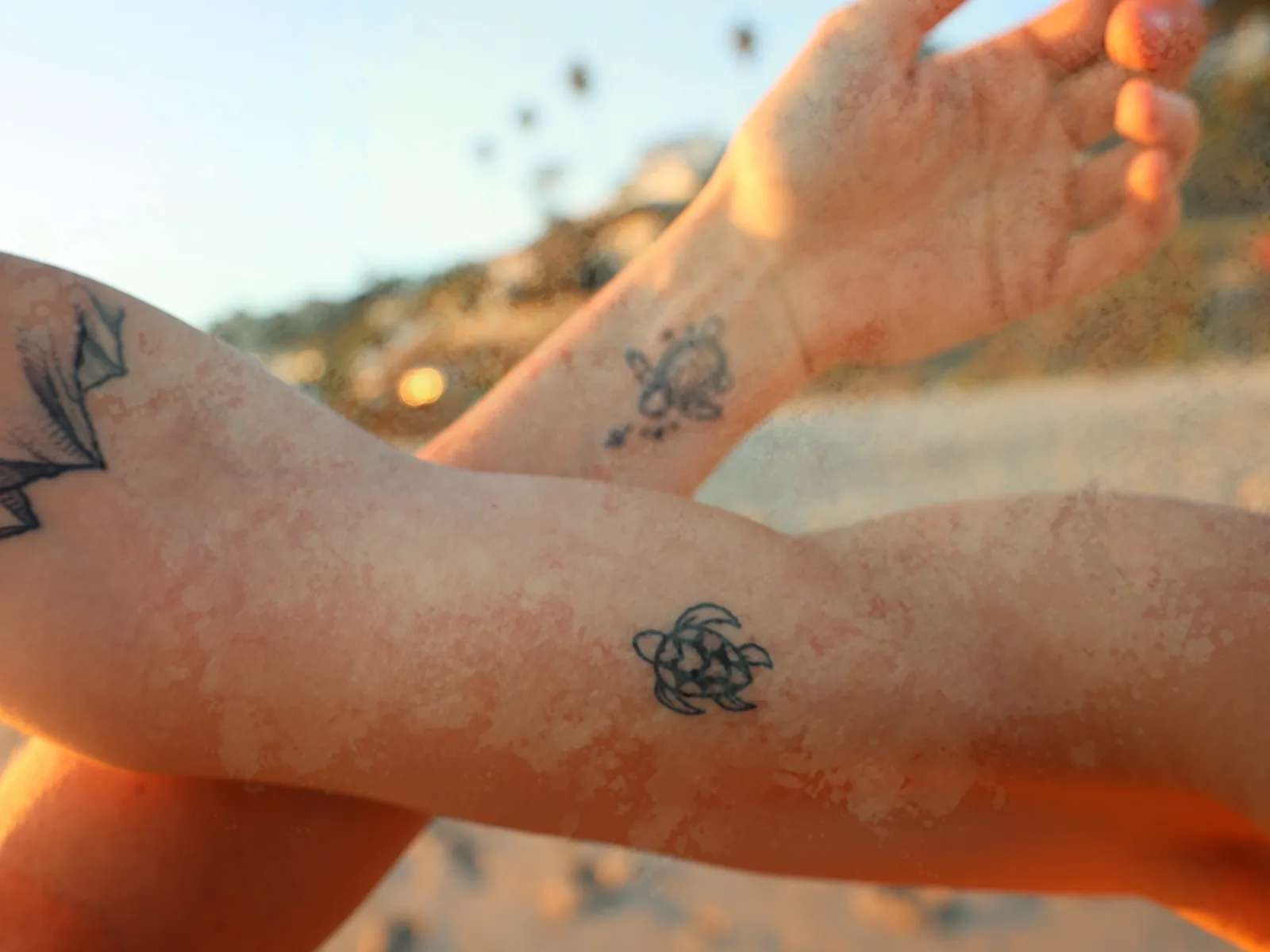 Two forearms crossed in the sun, each with a small sea turtle tattoo.