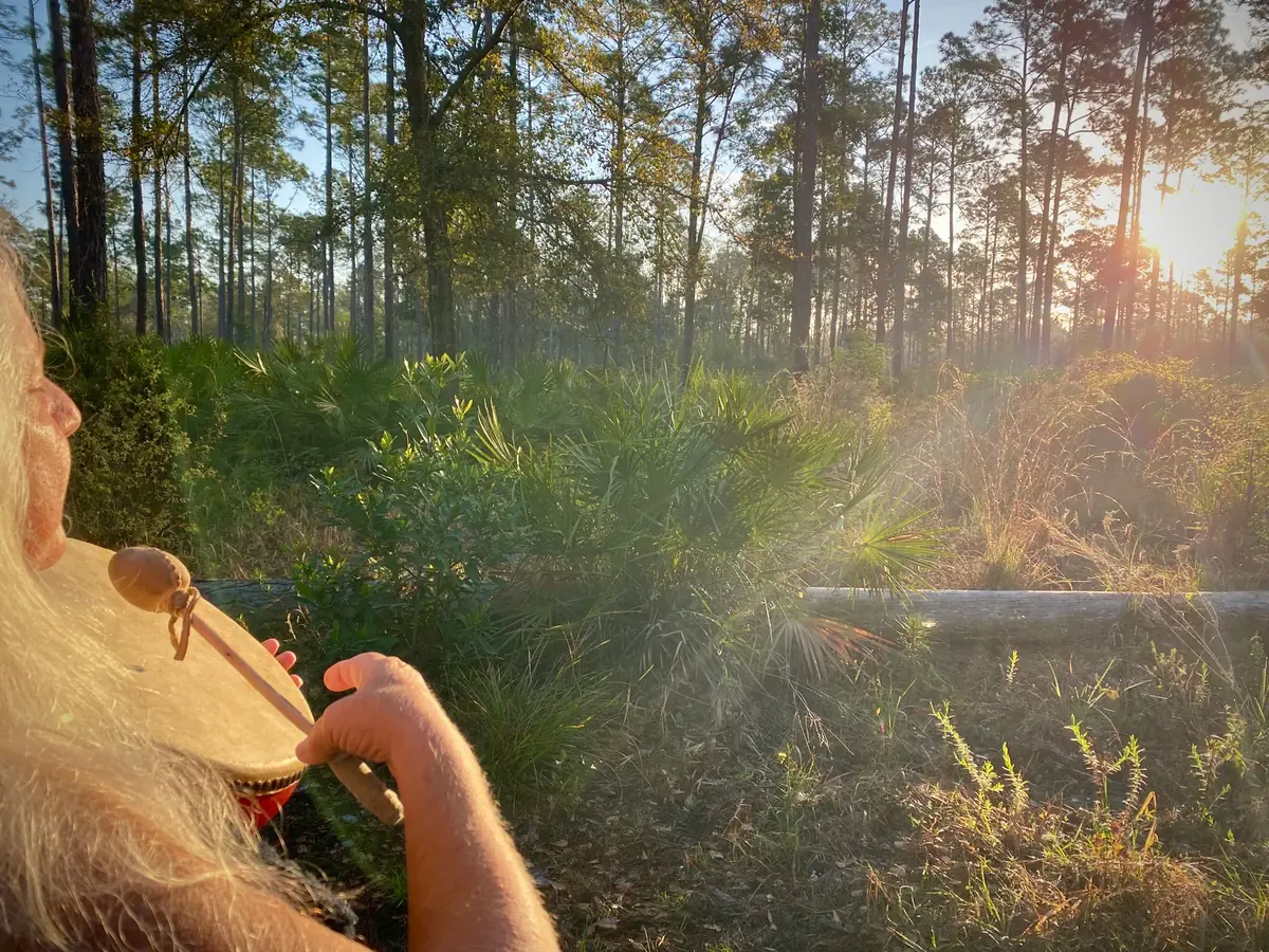 A person with long white hair holds a hand drum and beater, facing a sunlit pine forest.