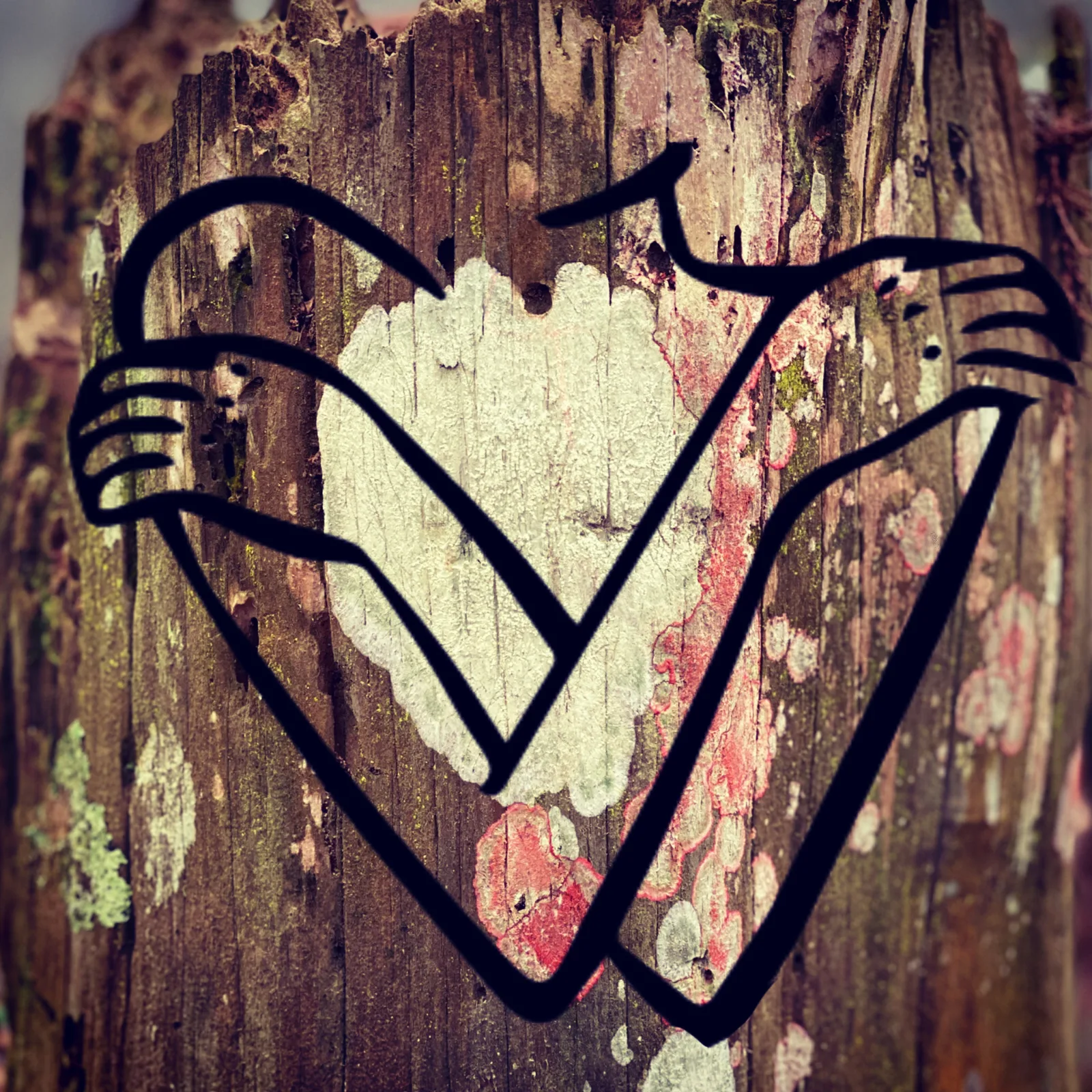 A drawing of arms crossed in a hug, shaped like a heart, on lichen-covered wood.