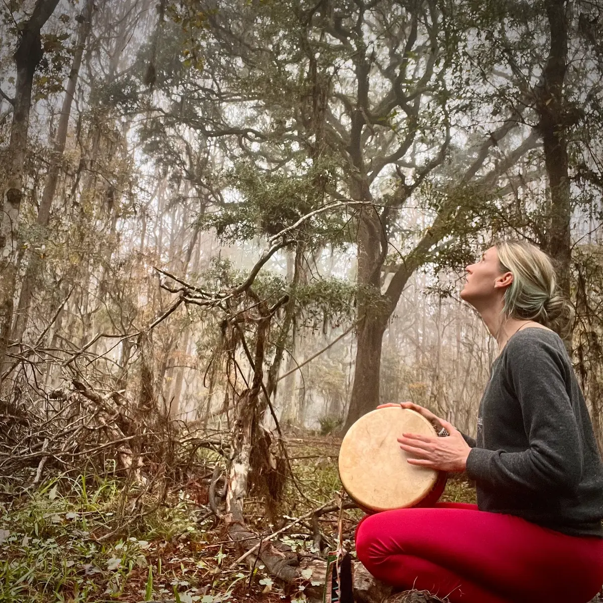 A woman kneels in a misty forest with a hand drum, looking up into the trees.