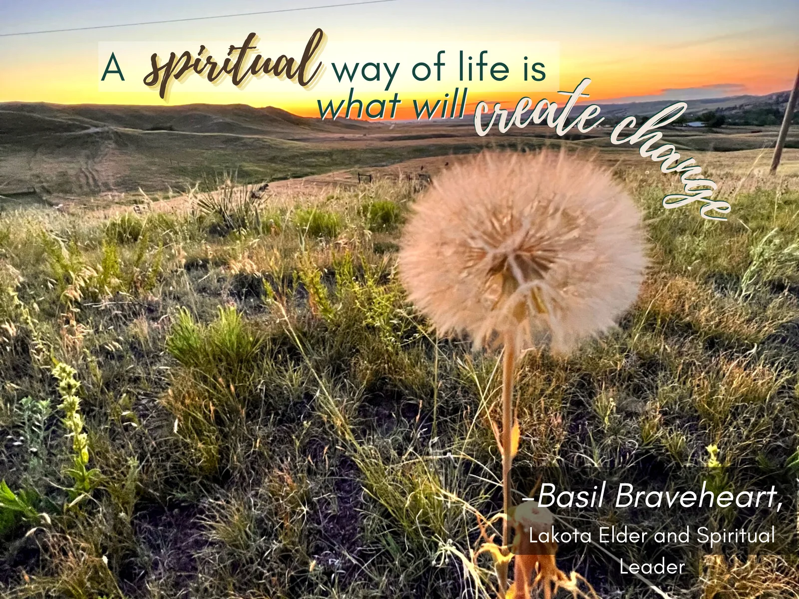 A dandelion seed head in a prairie at sunset. Text: “A spiritual way of life is what will create change.” – Basil Braveheart, Lakota Elder and Spiritual Leader
