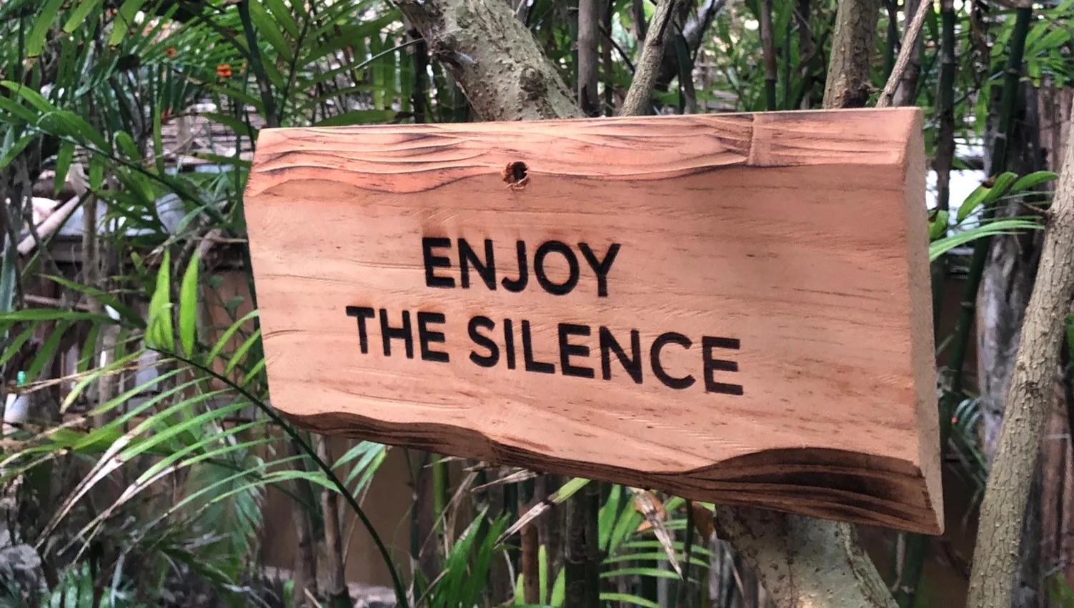 A wooden sign in the trees reads “Enjoy the silence.”