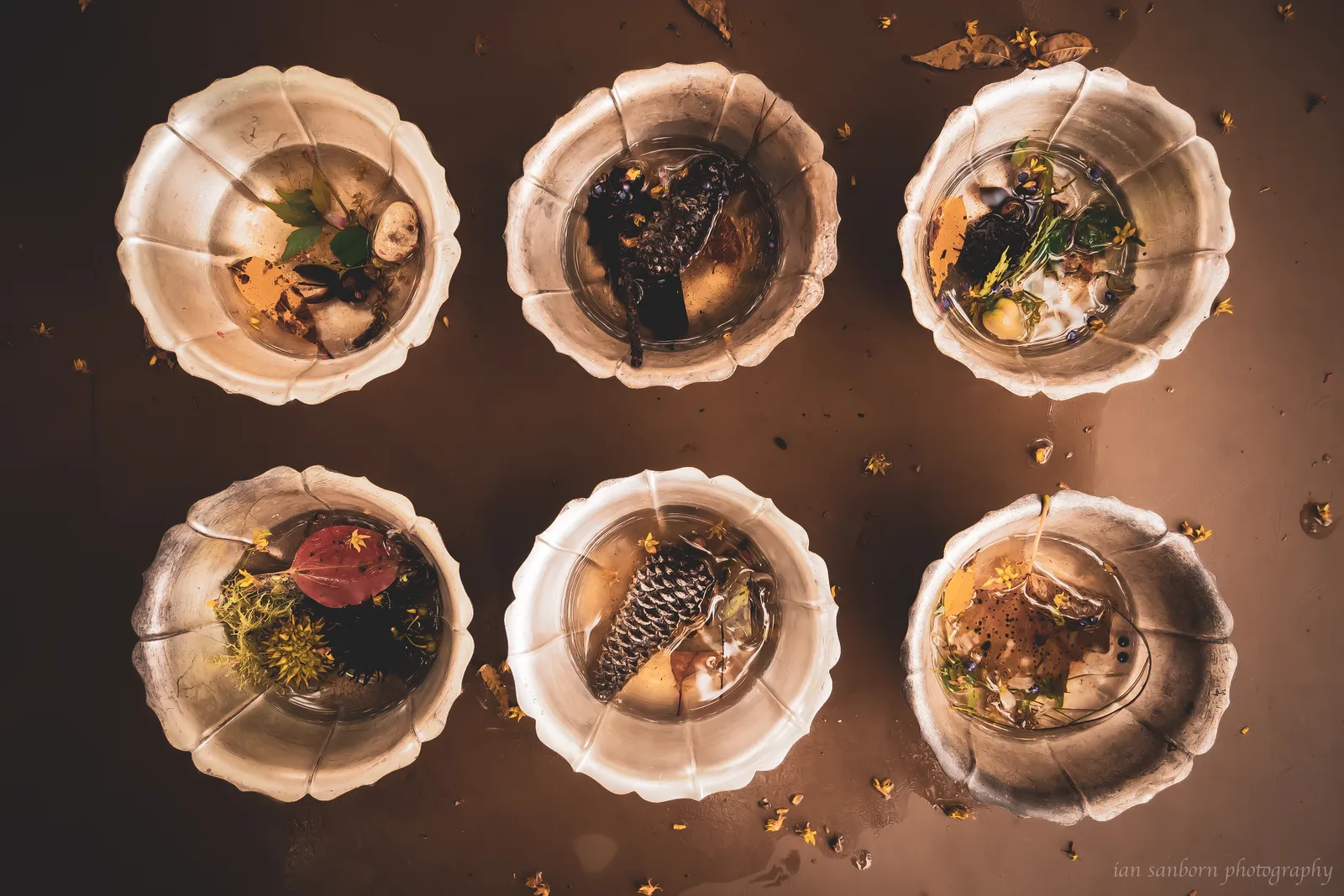 Six glass bowls of water holding leaves, flowers, a pinecone and other nature finds, seen from above.