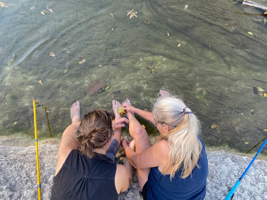 [Image description: An overhead shot of two DeafBlind people sitting on limestone at the water’s edge, canes at their sides, arms intertwined, touching one another’s bare legs with leaves]
