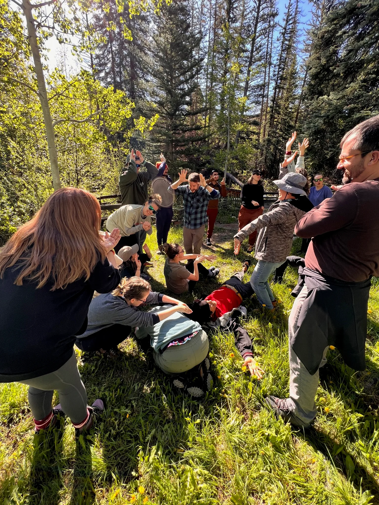 Guides are playing an animal gesture game for team building in a forested meadow.