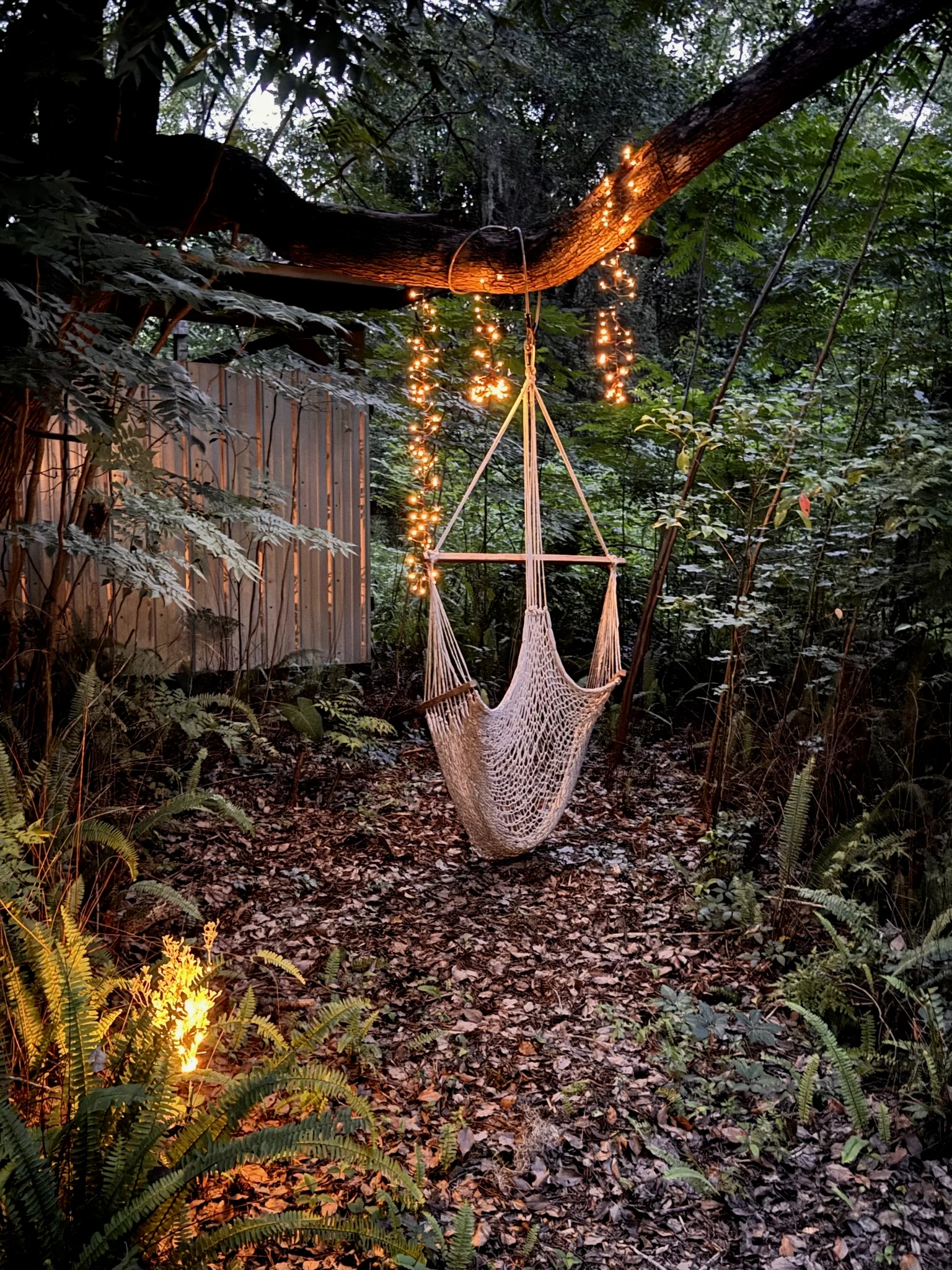 A magical swing is waiting for you at the entrance of our Forest.